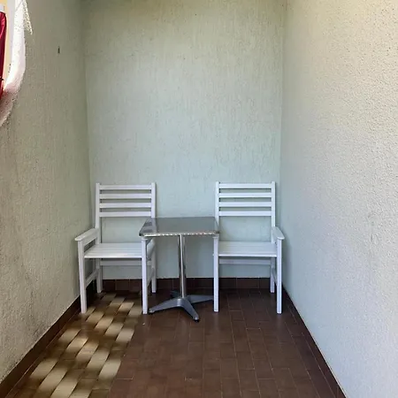 Maslina * Makarska
