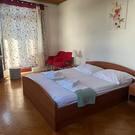 Maslina * Makarska